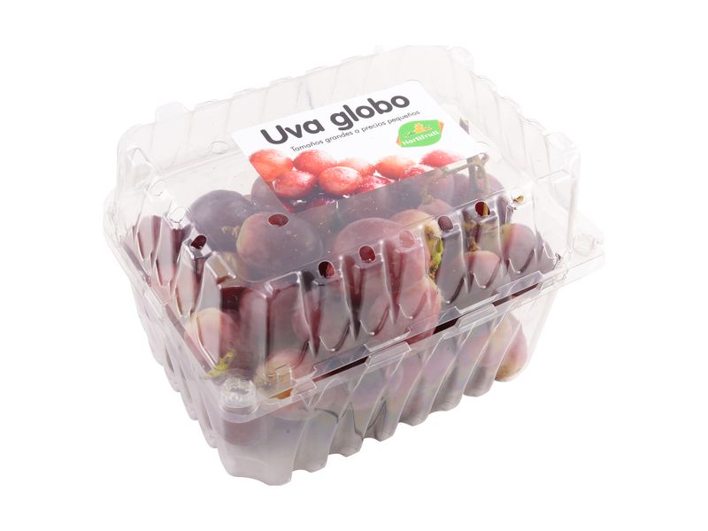 Uva-Globo-Clamshell-2Lb-1-7312