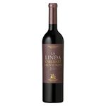 Vino-Tinto-Finca-La-Linda-Cabernet-Sauvignon-750-Ml-1-10632