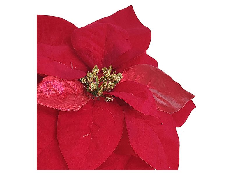 Flor-Roja-Navidad-Set-2U-Wbd-2-12593
