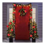 Flor-Roja-Navidad-Set-2U-Wbd-4-12593