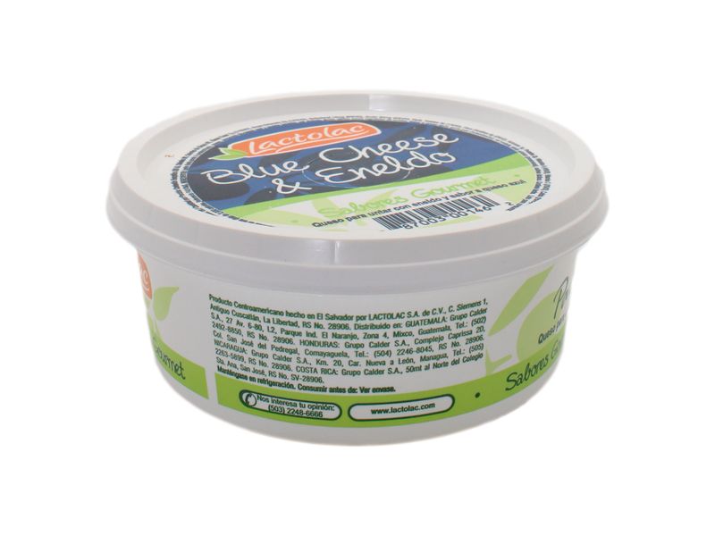 Dip-Lactolac-Blue-Cheese-Y-Eneldo-230gr-2-3712