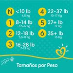 Panalppampers-Baby-Dry-Talla-3-Jumbo-32-3-859