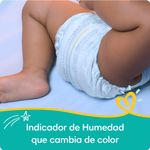 Panalppampers-Baby-Dry-Talla-3-Jumbo-32-4-859