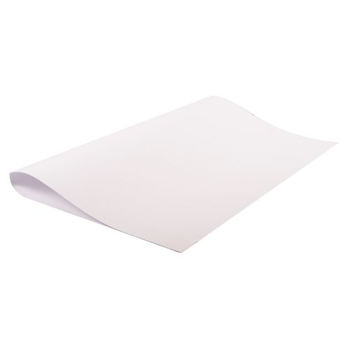 Cartulina Blanca 255X305-150gr