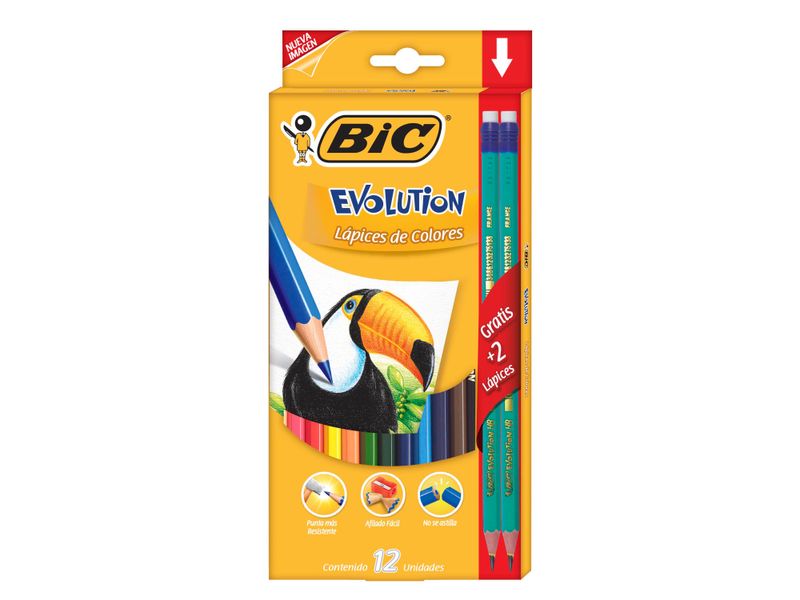 Lapices-De-Color-Bic-12-Unidades-1-4719