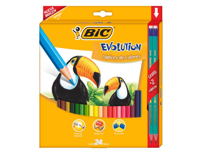 Lapiz-De-Color-Bic-Evolution-24-Unds-Y-2-Unds-Lapiz-Grafito-1-13856