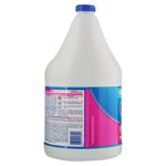 Blanqueador-Clorox-Floral-3785ml-3-14875