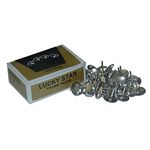 Chinche-Metalico-Caja-50-Und-1-8528