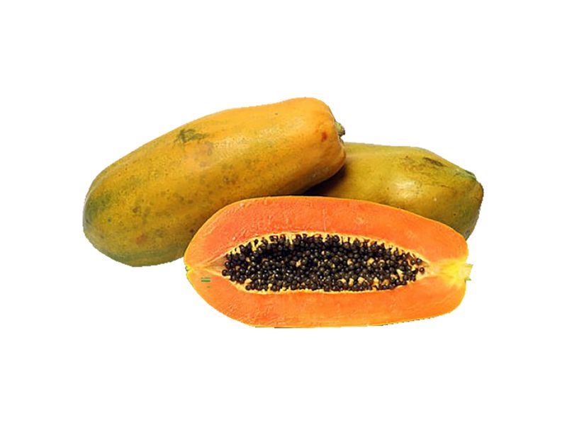 Papaya-Criolla-1-Unidad-1-2232