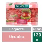 4-Pack-Jab-n-de-Tocador-Palmolive-Natureza-Secreta-Ucuuba-120-g-1-10033