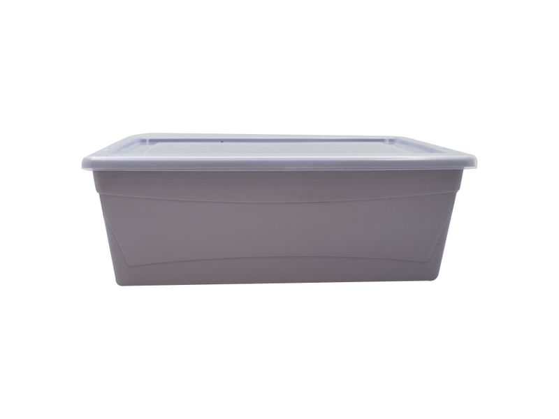 Caja-Organizadora-Guateplast-6-Lts-11-14838