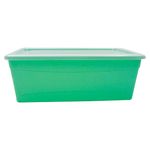 Caja-Organizadora-Guateplast-6-Lts-2-14838