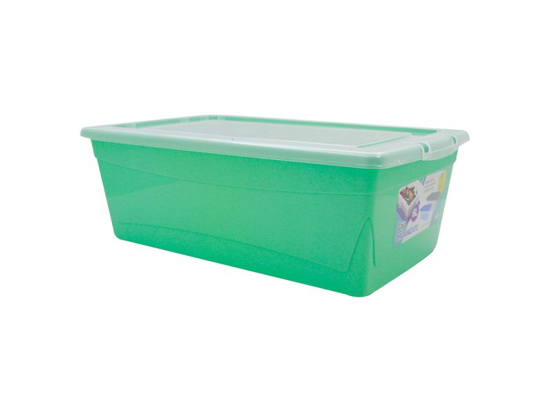 Caja-Organizadora-Guateplast-6-Lts-4-14838