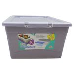 Caja-Organizadora-Guateplast-6-Lts-8-14838