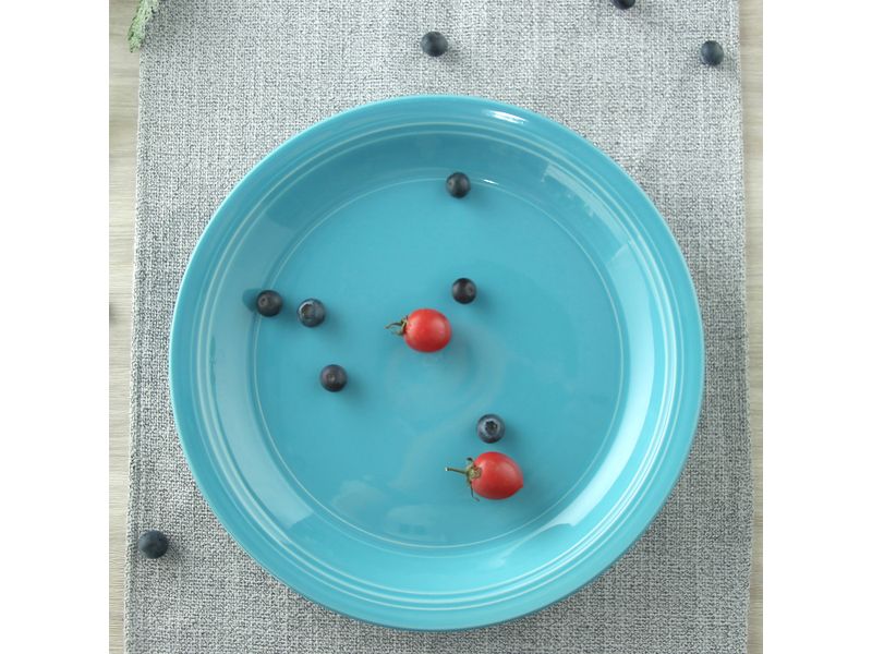 Plato-Mainstays-Plano-Azul-10-5-Pulgadas-4-14487
