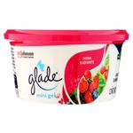 Mini-Gel-Glade-Mora-Radiante-70gr-1-13075