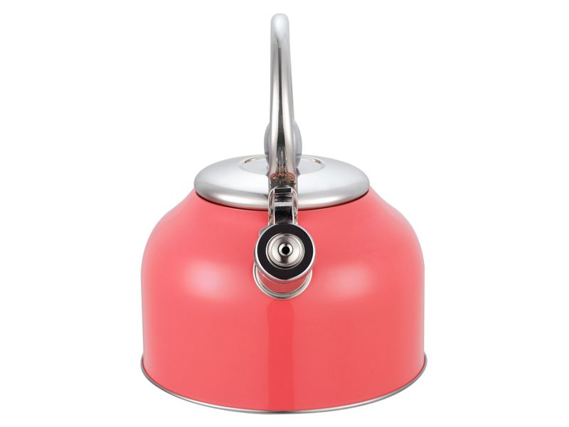 Tetera-Mainstays-Con-Recubrimiento-Color-2-5Lts-15-17099