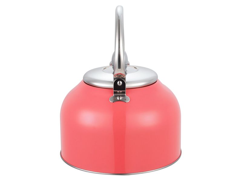 Tetera-Mainstays-Con-Recubrimiento-Color-2-5Lts-18-17099
