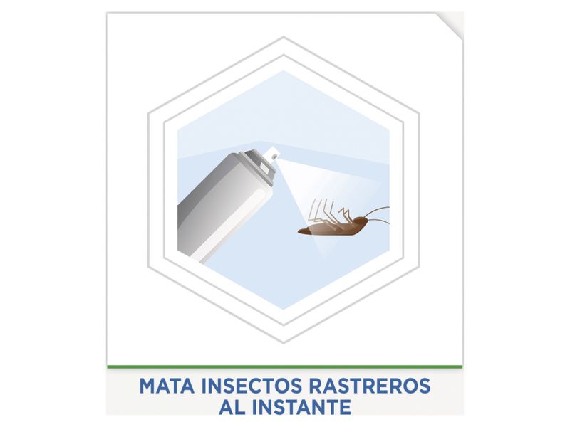 Insecticida-Raid-Protect-Mata-Rastreros-400ml-5-17207