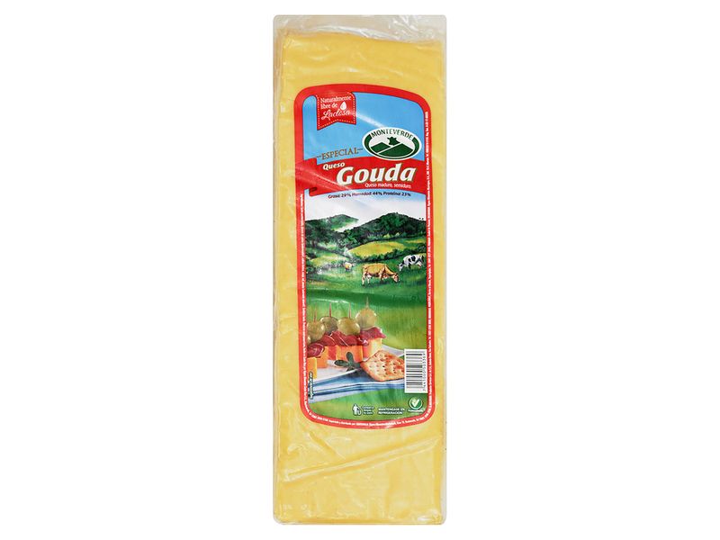 Queso-Monteverde-Gouda-Granel-1-4613