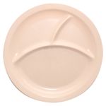 Plato-Best-Melamine-3-Divisione-1-20156