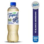 Bebida-Tropical-T-Blanco-PET-500ml-1-3491