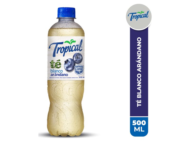 Bebida-Tropical-T-Blanco-PET-500ml-1-3491