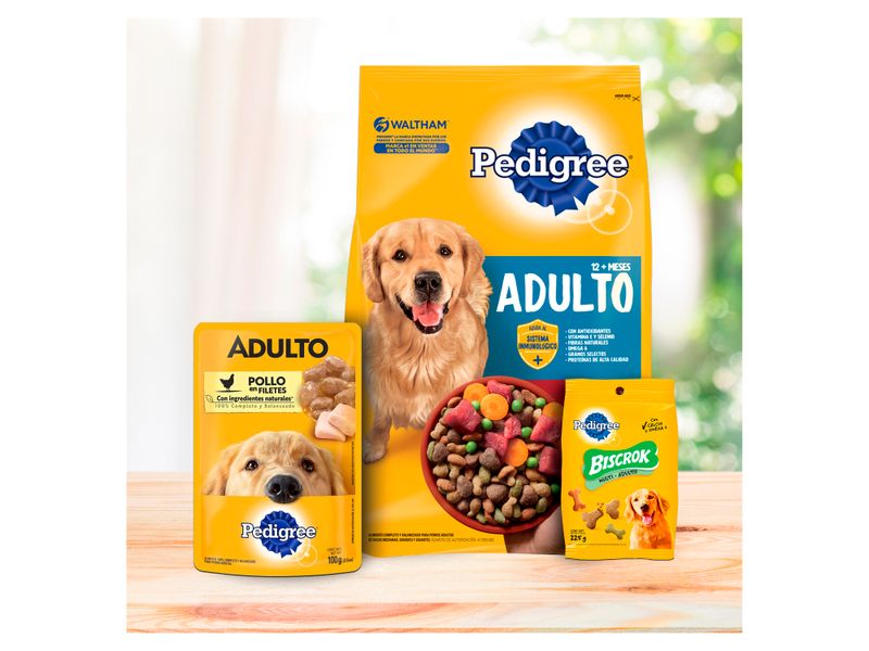 Alimento-Seco-Para-Perro-Pedigree-Adulto-21kg-7-9807