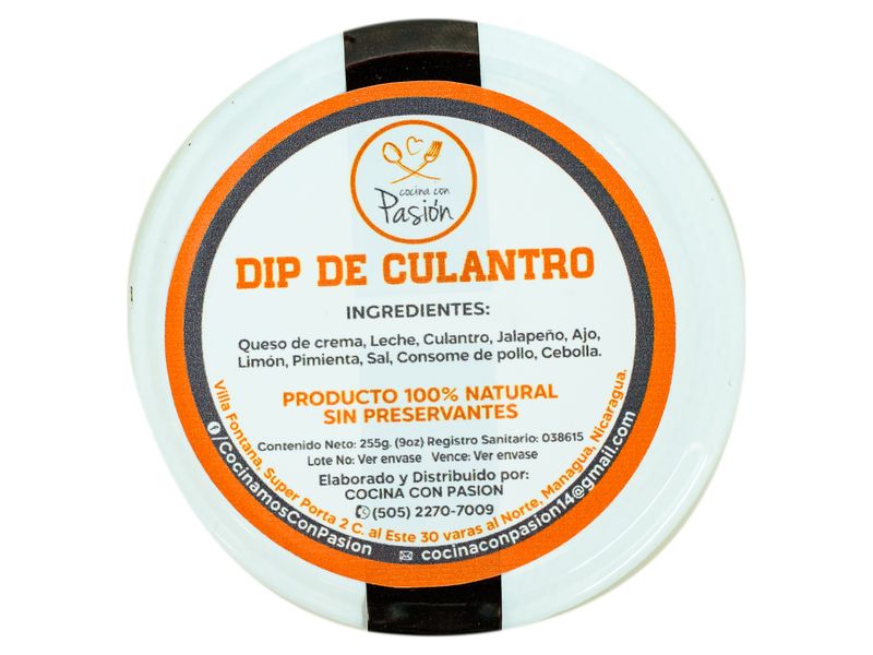 Dip-De-Culantro-Cocina-Con-Pasi-n-3-19567