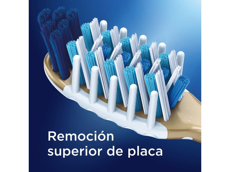 Cepillo-de-Dientes-Limpieza-Efectiva-Oral-B-7-Beneficios-2-Unidades-4-8691