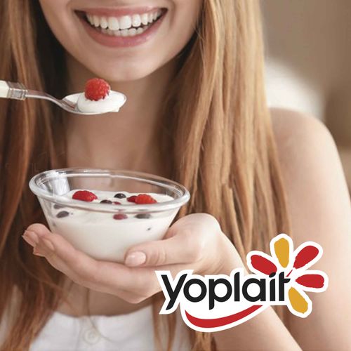 Yogurt topping Yoplait surtido 4 pack - 508 g