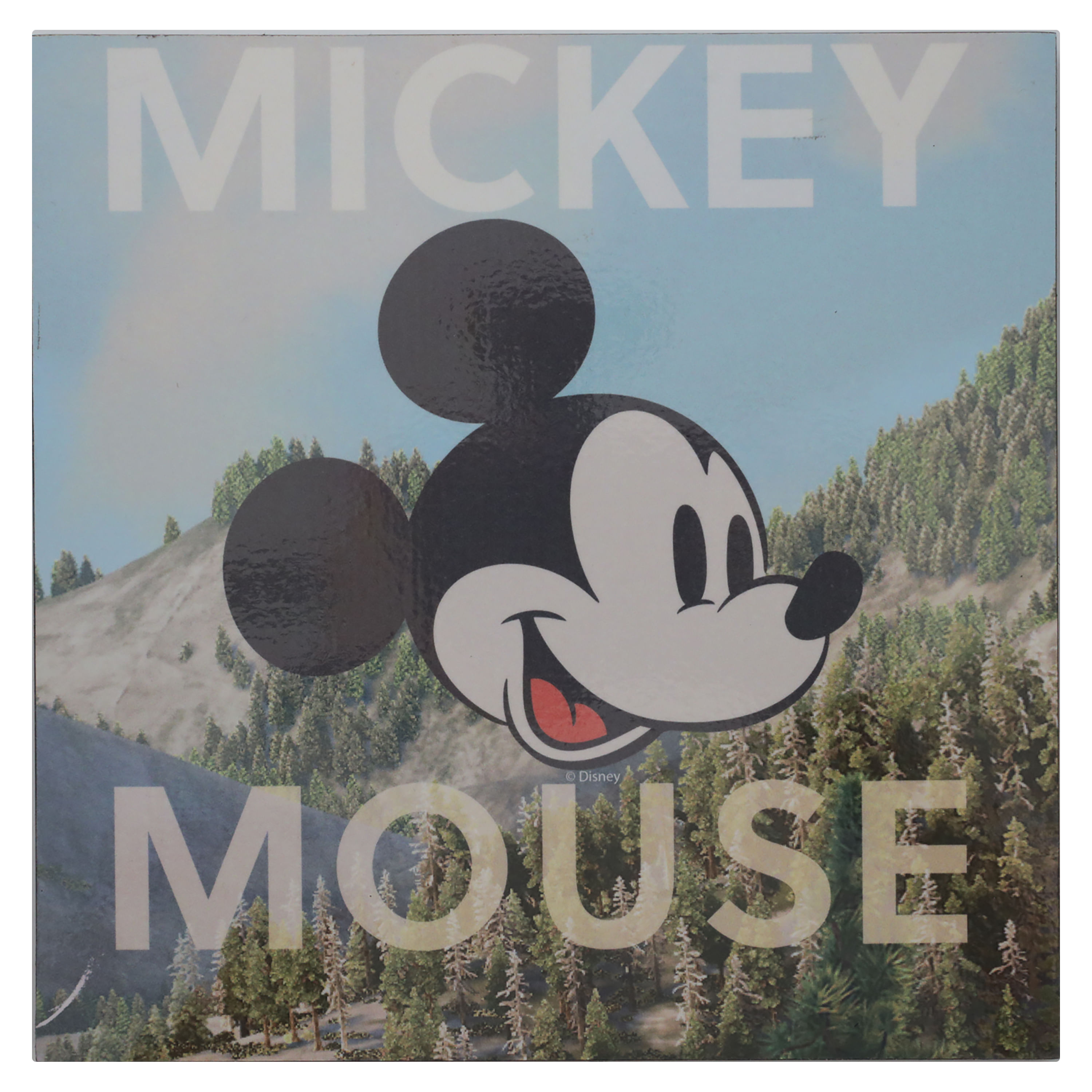 Cuadro-Fun-Crafts-Mickey-20-X-20cm-1-24752