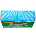 Set-de-Piscina-Marca-Bestway-con-Aro-y-Pelota-Inflable-1-22m-x-20cm-Modelo-51124-Capacidad-para-36-galones-9-23834