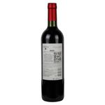 Vino-Norton-Tinto-De-Malbec-750ml-2-10679