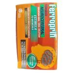Ferroprin-Vide-Tonico-Neurocerebral-480ml-4-24794