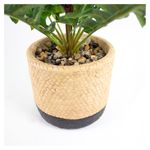 Planta-Mainstays-Artificial-Hoja-Roble-Maceta-3-23955