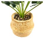 Planta-Mainstays-Artificial-Bonsai-Maceta-Beige-2-23956