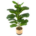 Planta-Mainstays-Artificial-Hoja-Roble-Maceta-1-23955