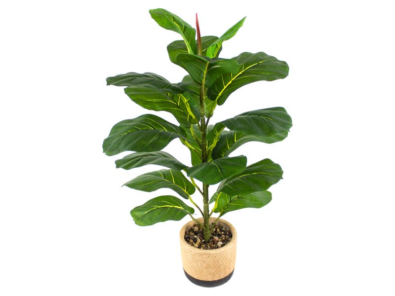 Planta-Mainstays-Artificial-Hoja-Roble-Maceta-1-23955