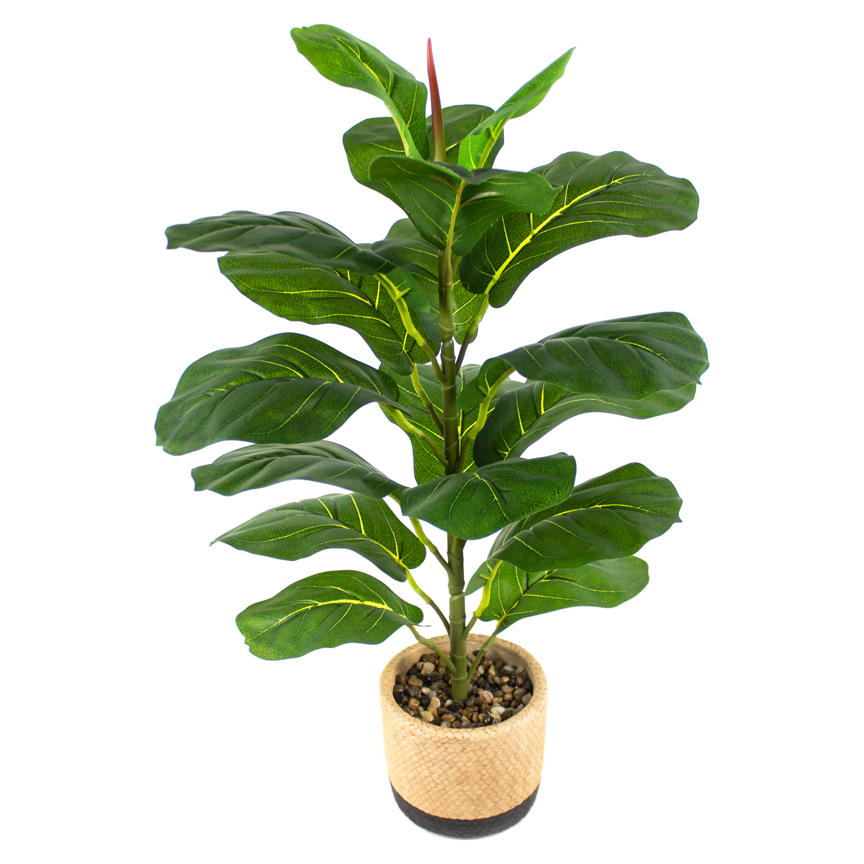 Planta-Mainstays-Artificial-Hoja-Roble-Maceta-1-23955
