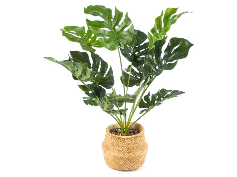 Planta-Mainstays-Artificial-Bonsai-Maceta-Beige-1-23956