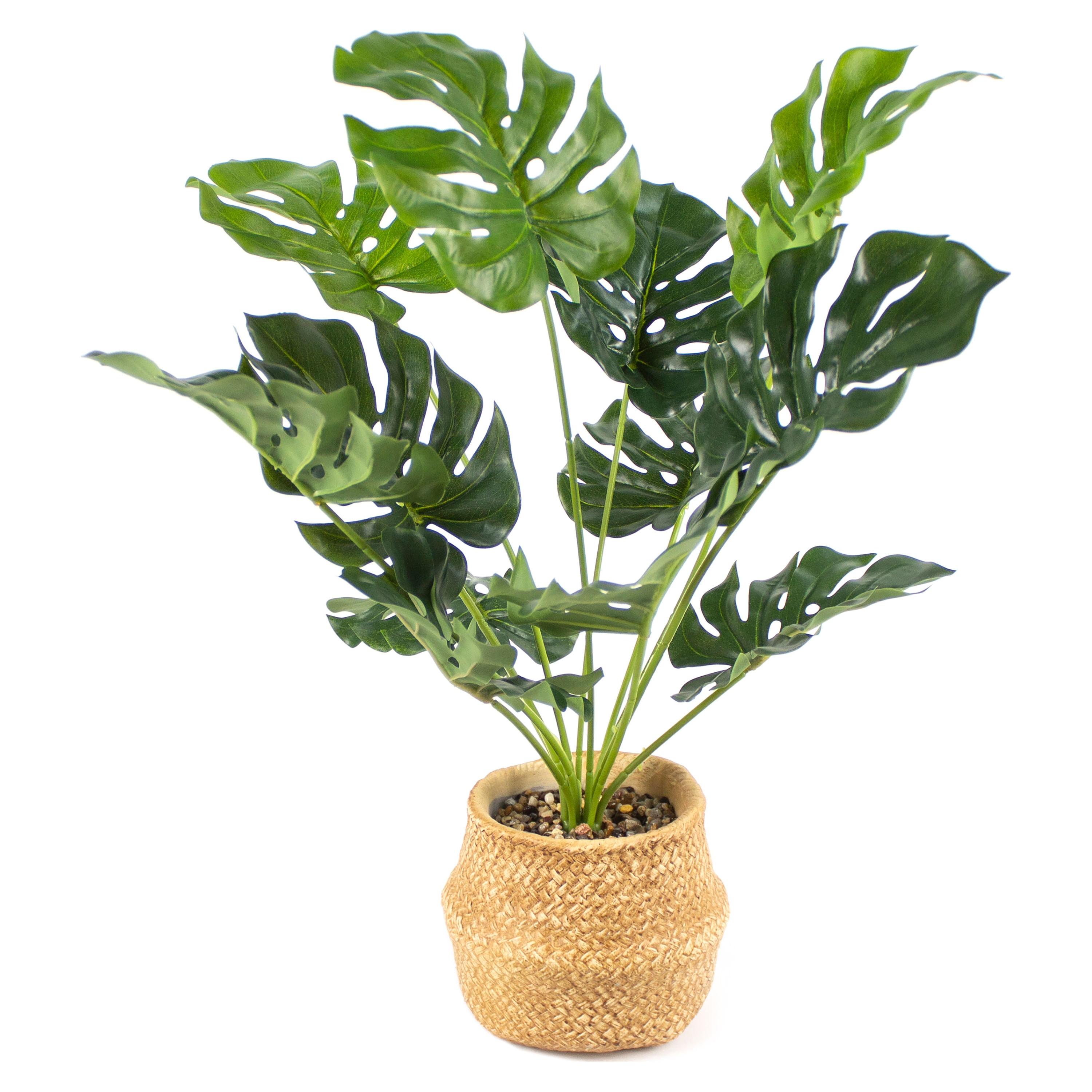 Planta-Mainstays-Artificial-Bonsai-Maceta-Beige-1-23956