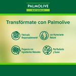 3-Pack-Jab-n-Palmolive-Naturals-Avena-y-Az-car-Morena-100gr-7-18987