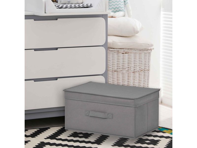 Cubo-Mainstays-Organizador-Con-Tapa-3-23792