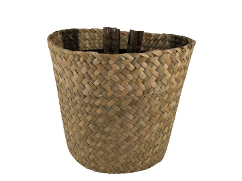 Planta-Mainstays-Hojas-Mediana-Con-Canasta-120cm-2-23772