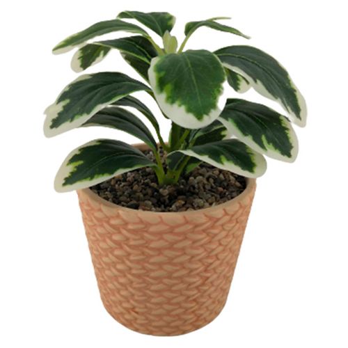 Planta Mainstays Artificial Con Canasta 19cm