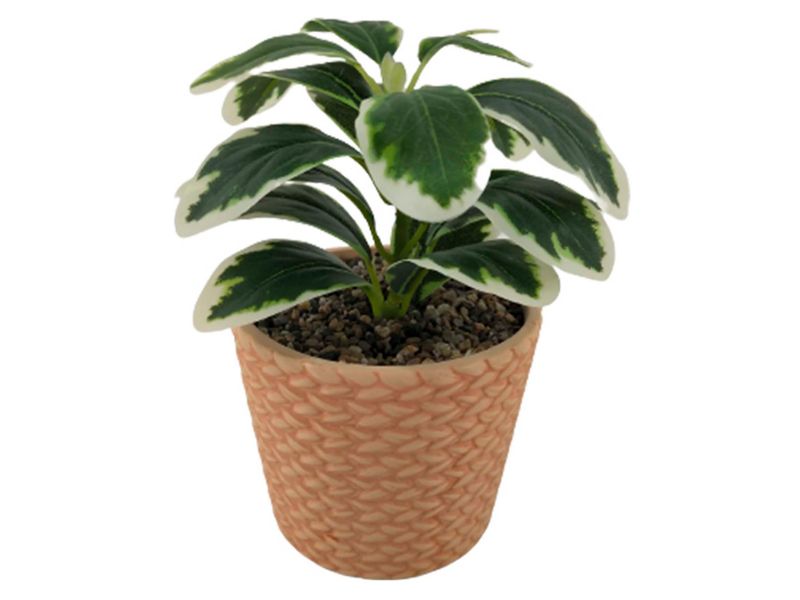 Planta-Mainstays-Artificial-Con-Canasta-19cm-1-23770