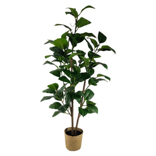 Planta Mainstays Hojas Mediana Con Canasta 120cm