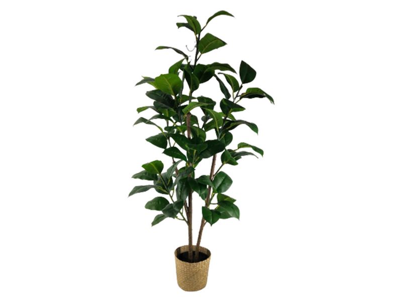 Planta-Mainstays-Hojas-Mediana-Con-Canasta-120cm-1-23772