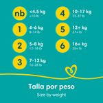 Pa-ales-Marca-Pampers-Baby-Dry-Talla-1-4-6kg-44Uds-14-857